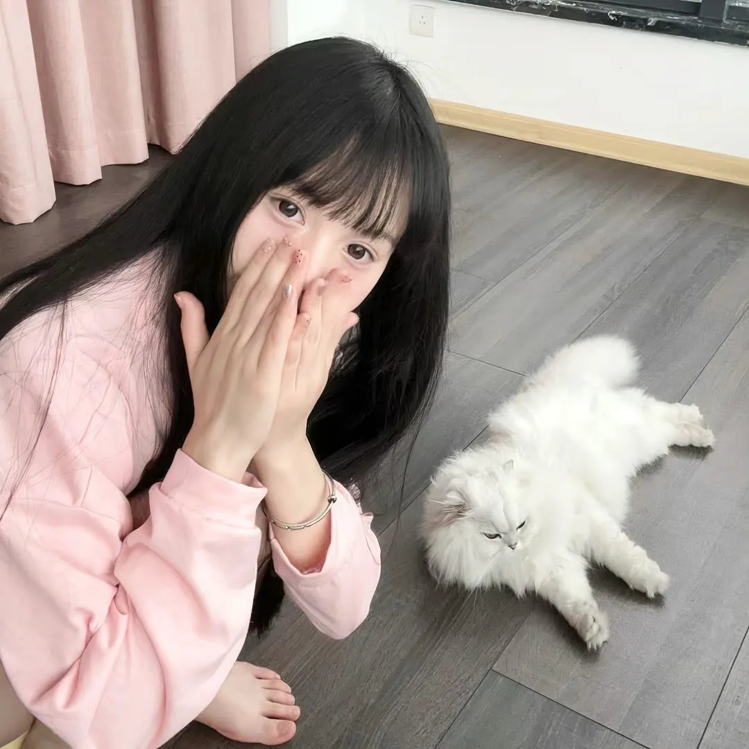 鲨海47:猛鲨出笼