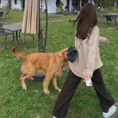 优皮干探粤语